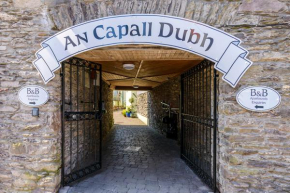 An Capall Dubh B&B Dingle